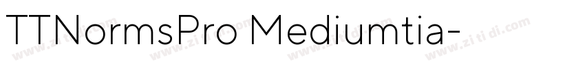 TTNormsPro Mediumtia字体转换